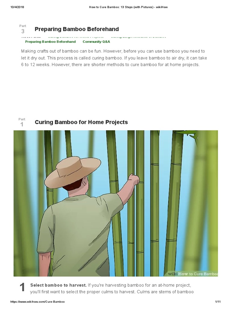 How To Cure Bamboo 13 Steps (With Pictures) Wikihow PDF PDF Bamboo Nature