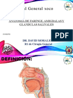 Anatomia de Faringe, Amigdalas y Glandulas Salivales