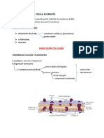 Celula Eucariota-Invelisuri Celulare