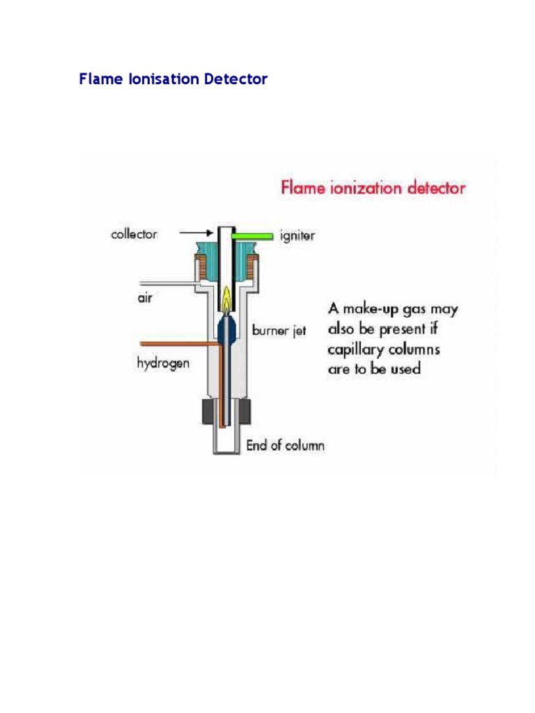Flame Ionisation Detector PDF