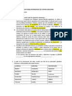 Actividad Sistema Endocrino