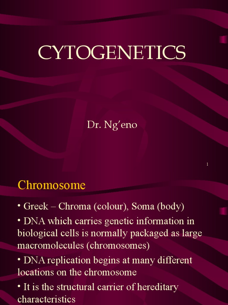 Understanding Chromosomes and Genes | PDF | Science & Mathematics