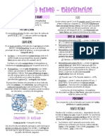 Metabolismo del grupo hemo.pdf