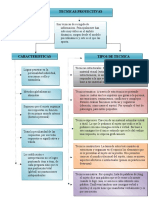 Mapa Conceptual