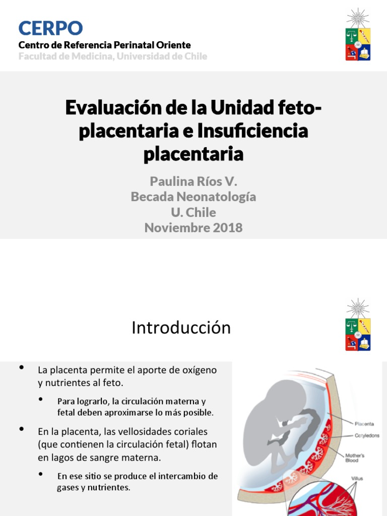 Evaluacion de La Ufp e Insuficiencia