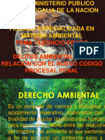 6 DELITOS AMBIENTALES