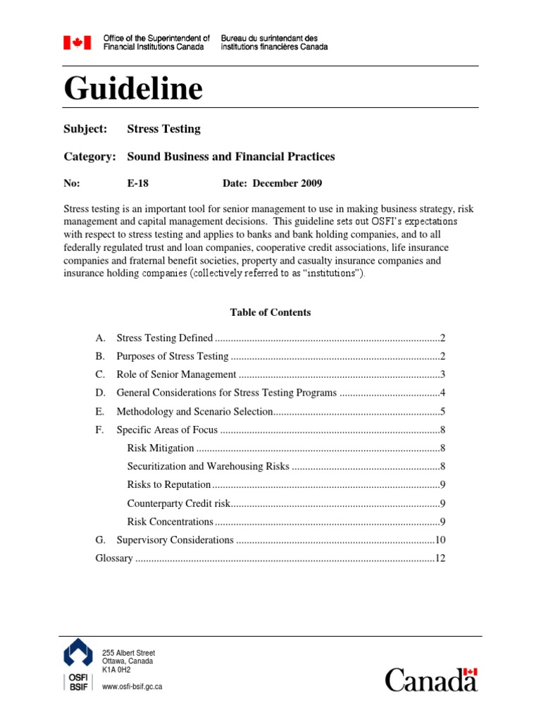 Stress Testing | PDF | Stress Test (Financial) | Risk