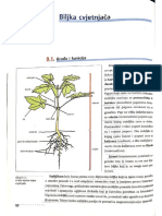 Prirodoslovlje (Antun Delic, Nada Vijtiuk) - 9. Biljka Cvjetnjaca PDF