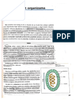 Prirodoslovlje (Antun Delic, Nada Vijtiuk) - 11. Raznolikost Organizama PDF