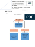 Reparación Tisular