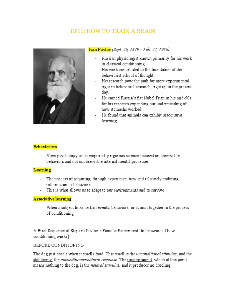 Crash Course Psychology 2 Download Free PDF Reinforcement Memory