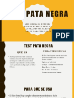 Test Pata Negra DIAPOSITIVAS PRUEBAS PSICOLOGICAS 2