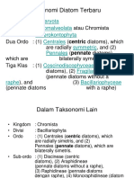 Diatom 1.pdf
