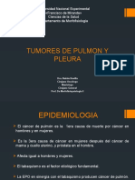 Tumores de Pulmon y Pleura