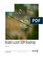 Alcatel-Lucent 8650 SDM Roadmap PDF