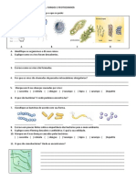 -ESTUDO-DIRIGIDO-virus-bacteria-e-fungos.docx