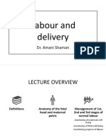 Labour and Delivery: Dr. Amani Shaman