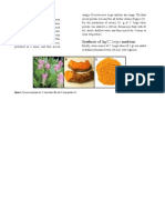 Synthesis of Ag/C. Longa Emulsion: Extraction Preparation