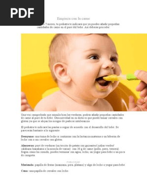 Menu De Un Bebe 7 Meses Pdf
