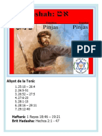 41 Pinjas PDF