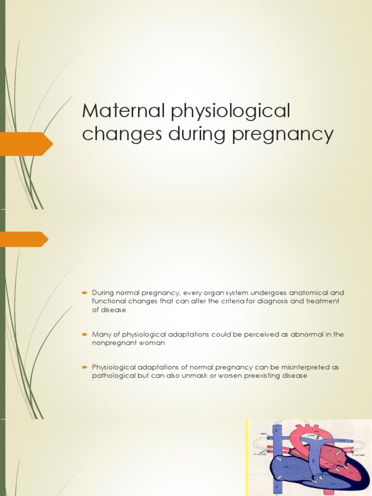1 - Maternal Physiological Changes During Pregnancy | PDF | Heart ...