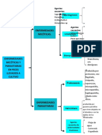 Enfermedad Micotica y Parasitaria