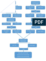 Arbol Genealogico Ervin