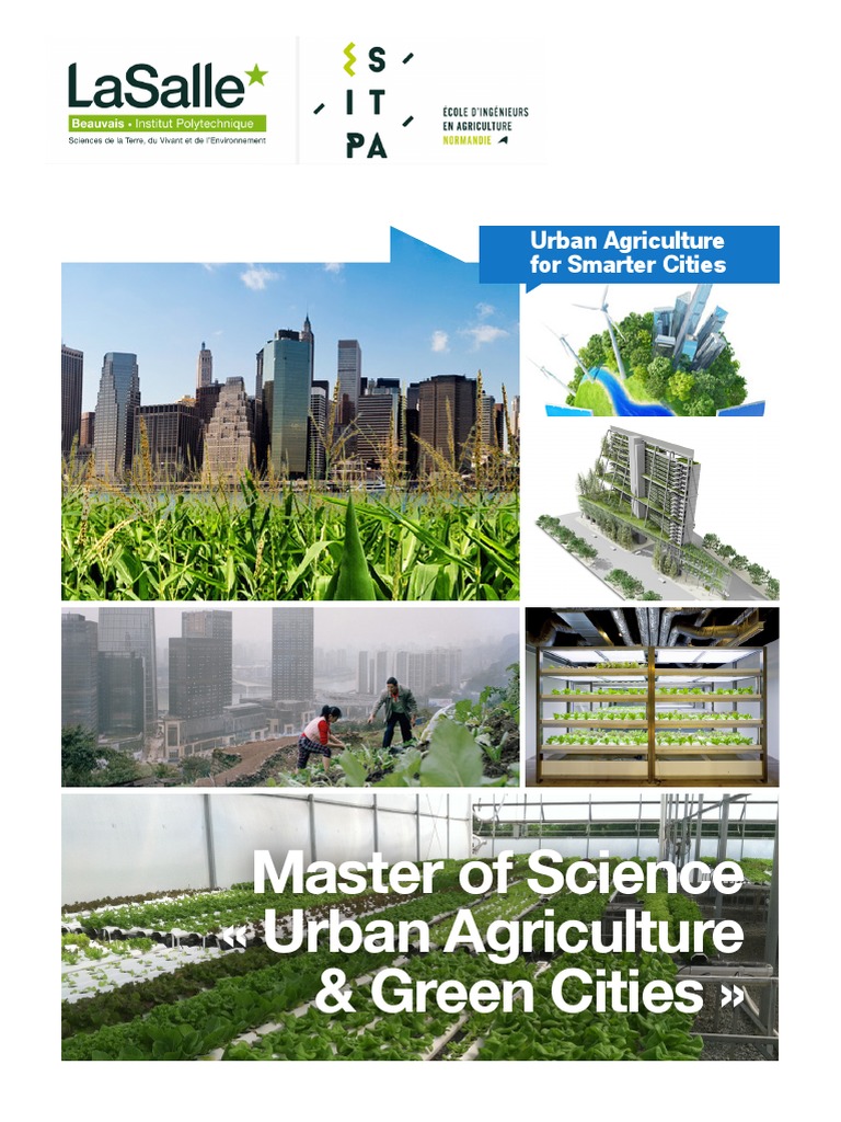 Decoding the Power of Sustainable Urban Agriculture in Modern Cities
