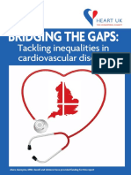 DSS - Bridging The Gaps Tackling Inequalities in Cardiovascular Disease