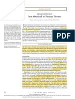 Iron Overload in Human Disease NEJM 2012 PDF