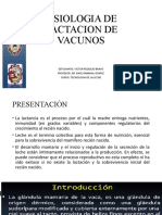 Fisiologia de Lactacion de Vacunos