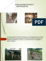 Antifúngicos PDF