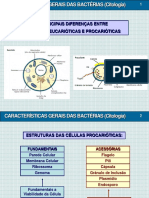 3 - Caracteristicas Gerais Das Bacterias - Citologia - 01-2017 PDF