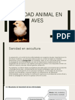 Sanidad Animal en Aves