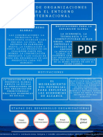 Diseño de Organizaciones para El Entorno Internacional PDF