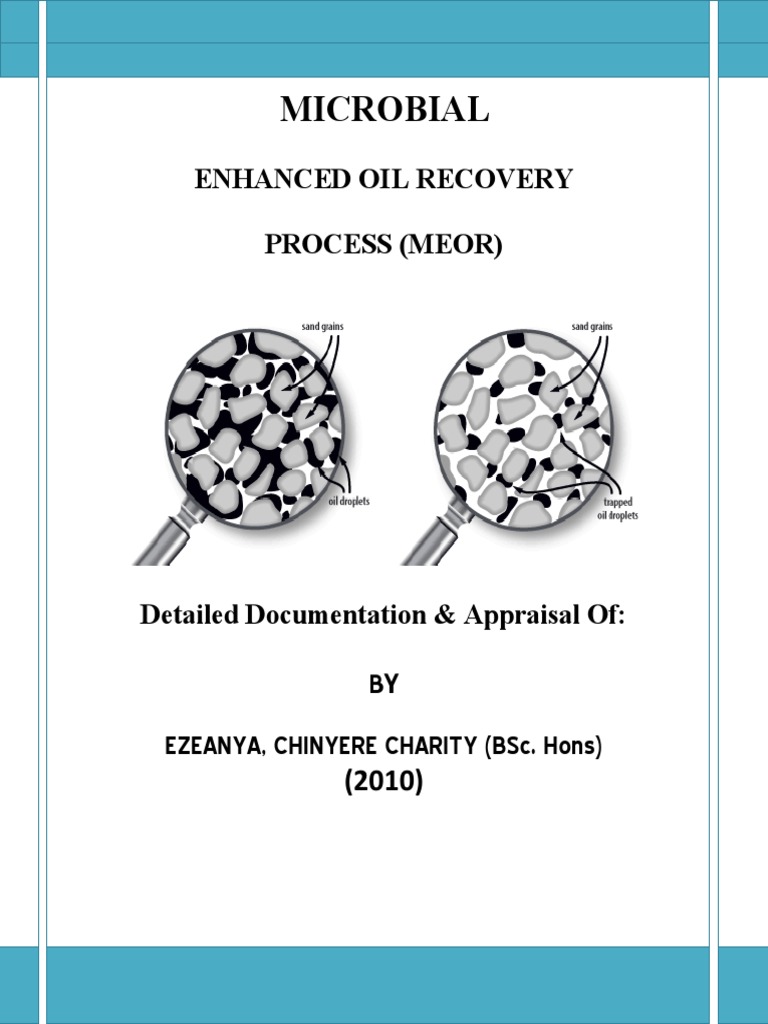 Microbial Enhanced Oil Recovery Overview | PDF | Enhanced Oil Recovery ...