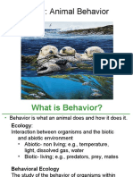 Animal Behavior Explained