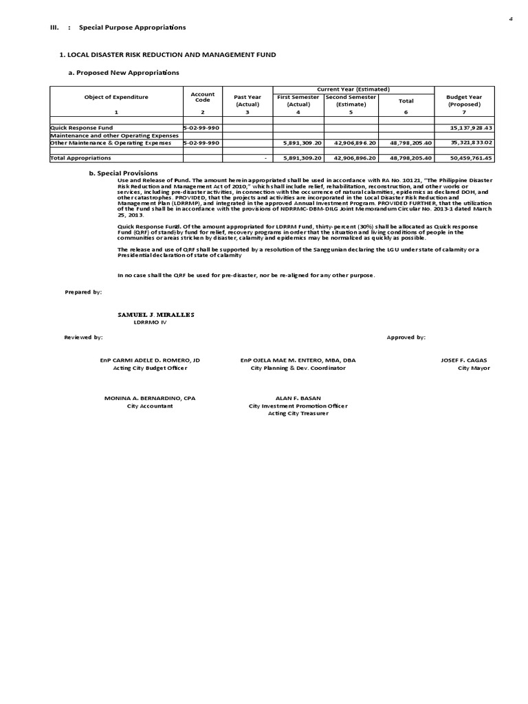 Special Appropriations | PDF | Coalition Provisional Authority | Expense