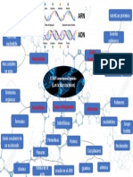 Mapa Primer Video