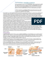 El Sistema Endocrino