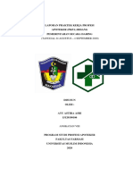 LAPORAN PKPA PKM AYU ASTIRA ASRI - 15120190106 REVISI - Ok PDF