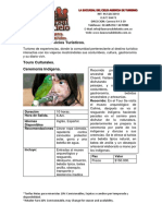 Portafolio Sanantonio PDF