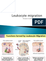 FINAL LECTURE3 - Migration and Activation T Cells - Effector CMI PDF
