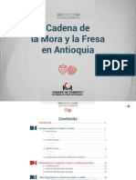 2 Mora y Fresa_Oct19.pdf