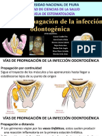 Infecciones Odontogenicas Original...