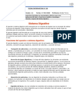 FICHA INFORMATIVA N° 09 SISTEMA DIGESTIVO.docx