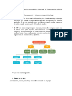 NEUROANATOMIA