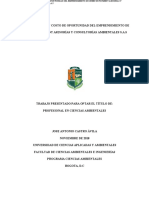 PLAN DE NEGOCIO Y COSTO DE OPORTUNIDAD DEL EMPRENDIMIENTO DE GREEN INVESTMENT ASESORÍAS Y CONSULT.pdf