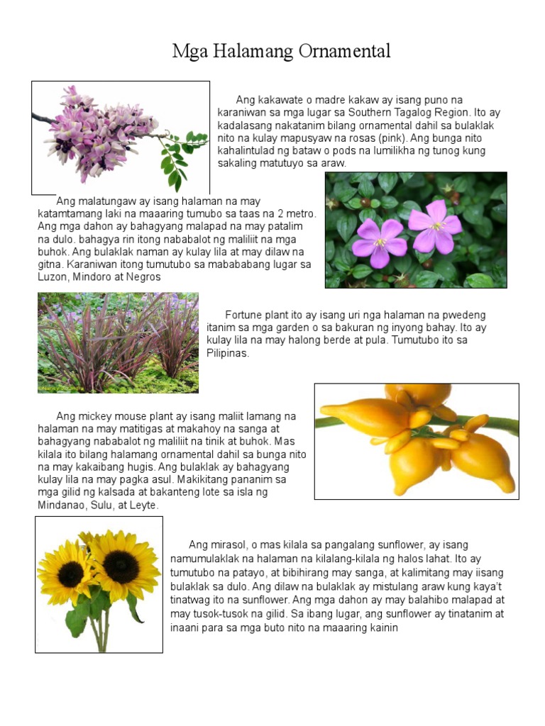 Mga Halamang Ornamental Pdf