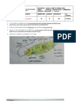 El-Reino-Protista - Practica